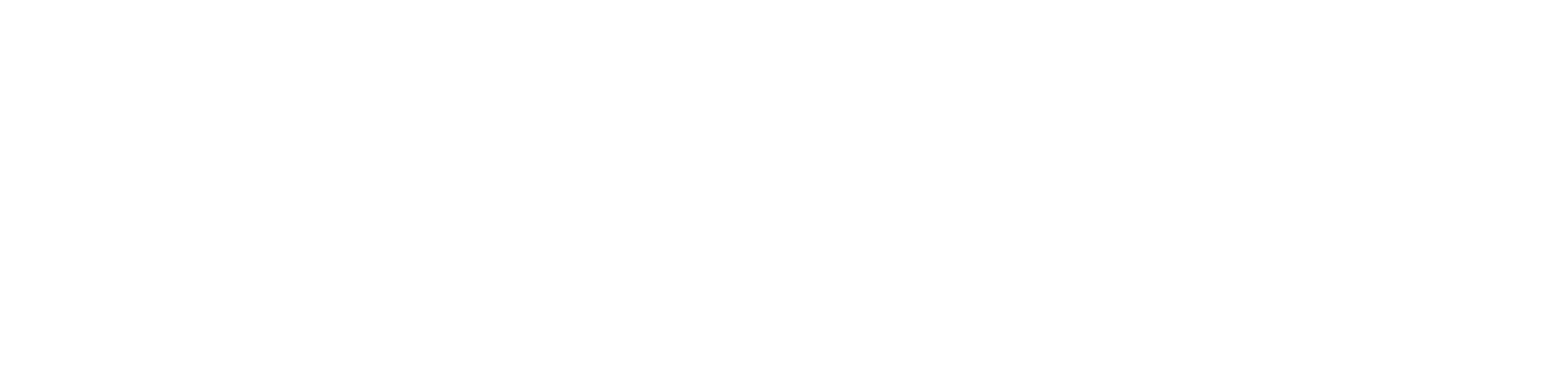 klingerpoland logo white 2018 cr